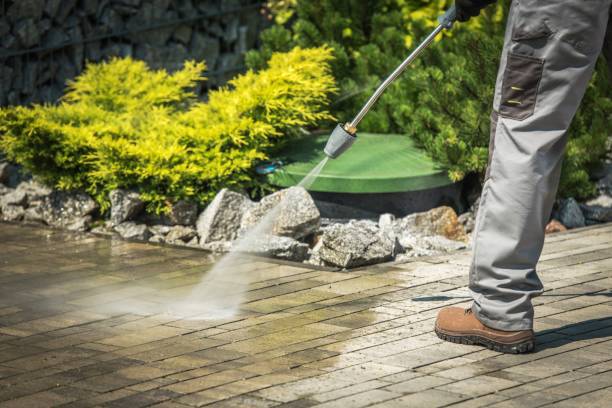 Trusted Arnold, CA Pressure Washing Services Experts
